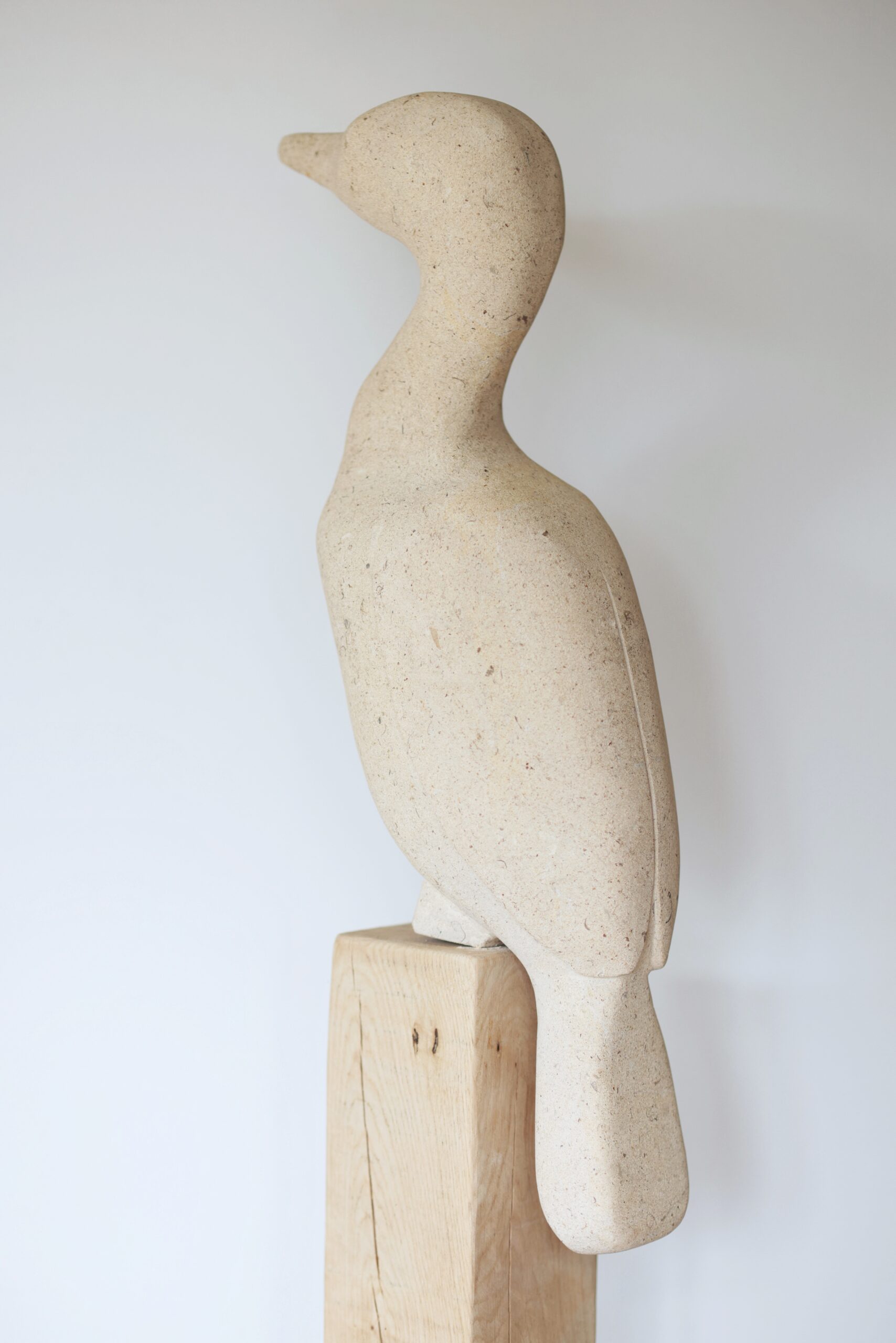 Cormorant 2