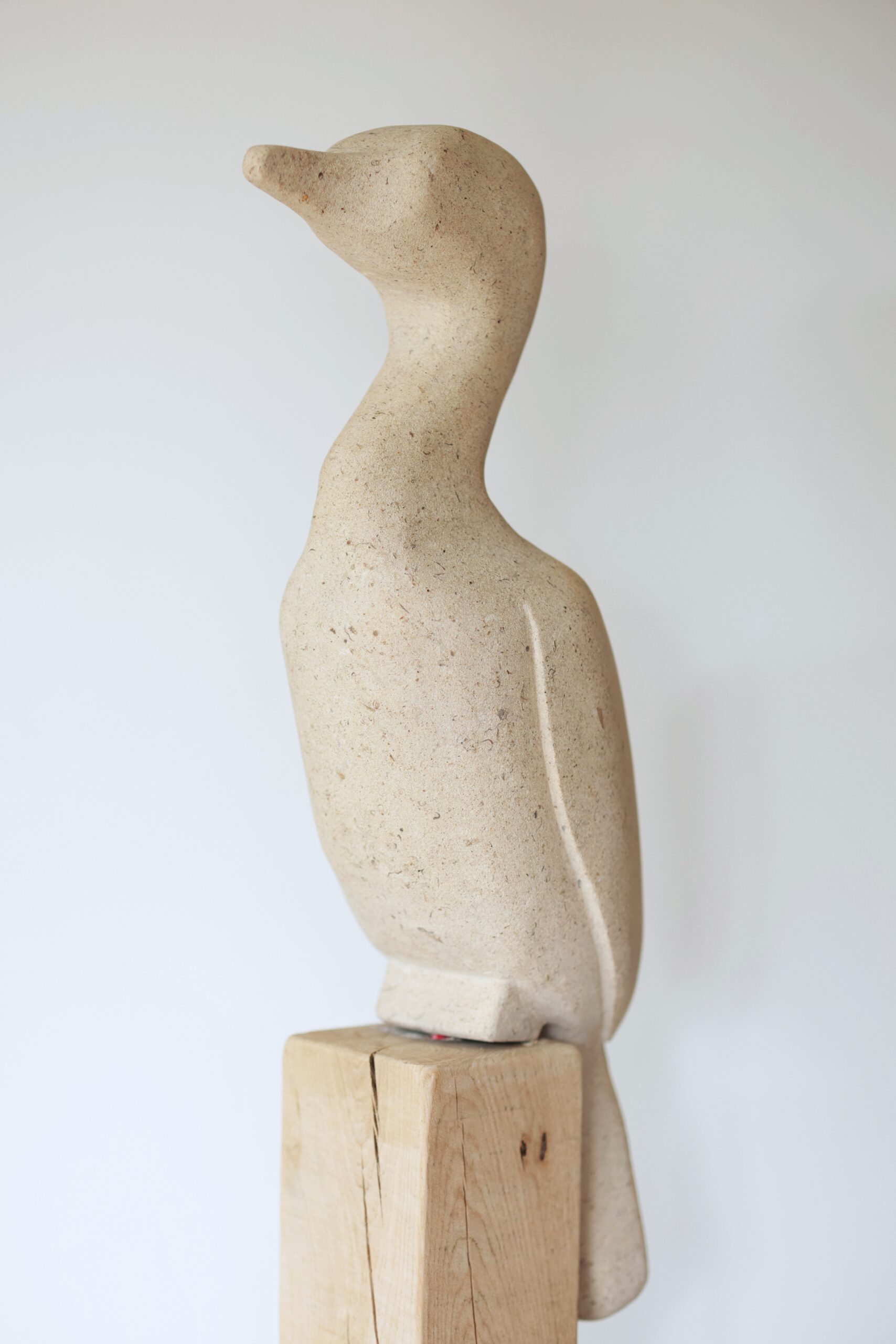 Cormorant 3